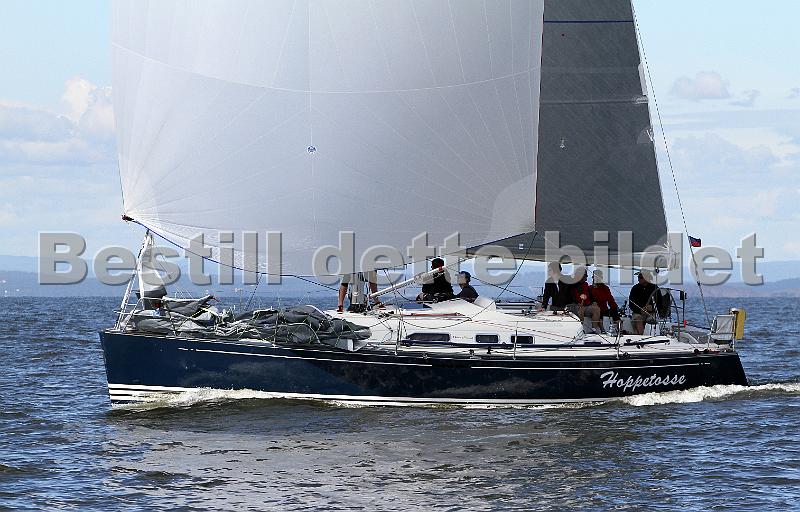 ORCi2 486.jpg
